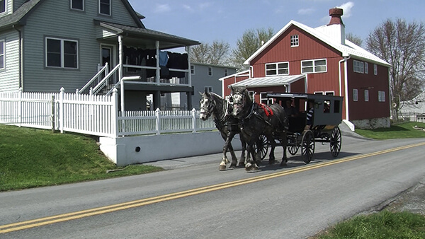 amish village buggy rides