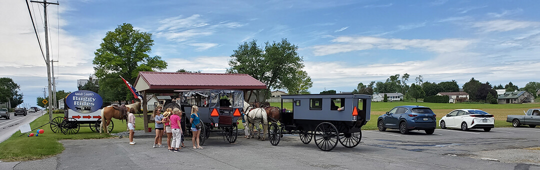 amish buggy rides near me